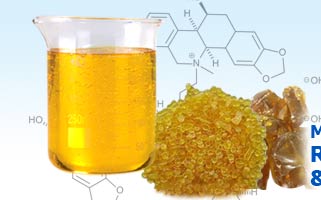 Abelin Polymers